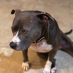 Meet your Posher, Haileigh